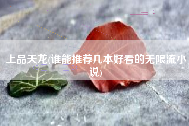 上品天龙(谁能推荐几本好看的无限流小说)
