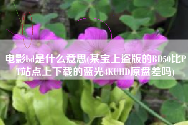 电影bd是什么意思(某宝上盗版的BD50比PT站点上下载的蓝光4KUHD原盘差吗)