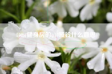 10lb(健身房的p10哑铃什么意思)
