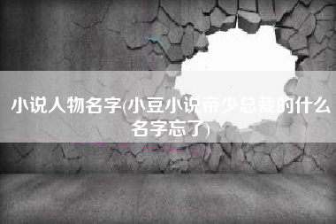 小说人物名字(小豆小说帝少总裁的什么名字忘了)
