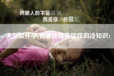 天竺鼠怀孕(有哪些奇奇怪怪的冷知识)