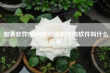 图表软件(请问喷绘用的作图软件叫什么名字)