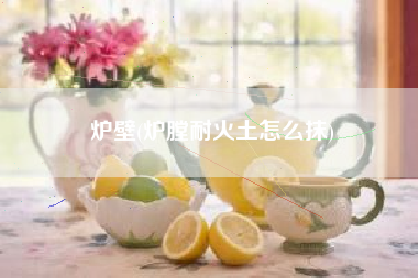 炉壁(炉膛耐火土怎么抹)