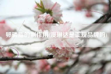 卵磷脂的副作用(澳琳达是正规品牌吗)