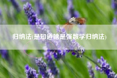 归纳法(是知道啥是强数学归纳法)