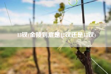 13钗(金陵到底是12钗还是13钗)