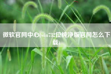 微软官网中心(win732位纯净版官网怎么下载)