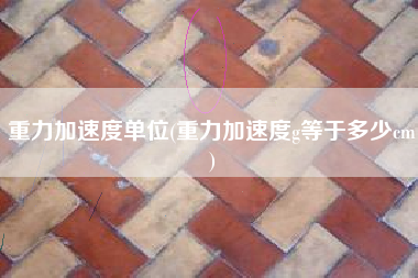 重力加速度单位(重力加速度g等于多少cm)
