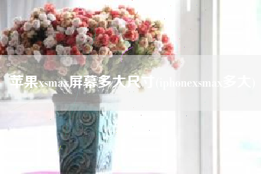 苹果xsmax屏幕多大尺寸(iphonexsmax多大)