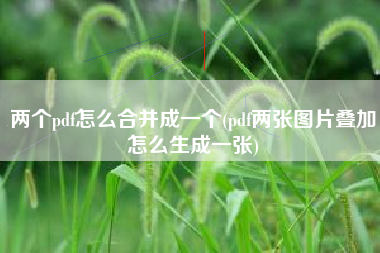 两个pdf怎么合并成一个(pdf两张图片叠加怎么生成一张)
