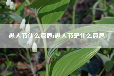 愚人节什么意思(愚人节是什么意思)