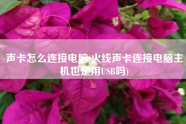 声卡怎么连接电脑(火线声卡连接电脑主机也是用USB吗)