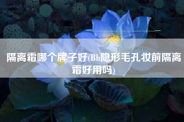 隔离霜哪个牌子好(Bh隐形毛孔妆前隔离霜好用吗)