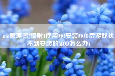 mo管理器(辐射4使用MO安装MOD后游戏找不到安装的MOD怎么办)
