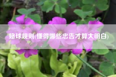 赌球规则(懂得哪些忠告才算大明白)