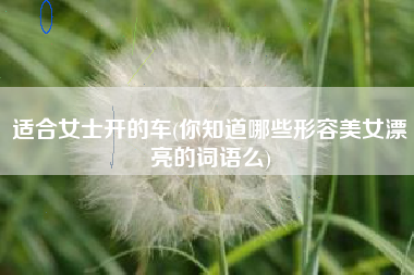 适合女士开的车(你知道哪些形容美女漂亮的词语么)