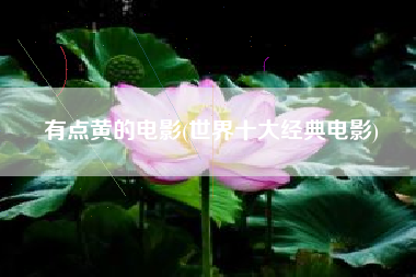 有点黄的电影(世界十大经典电影)