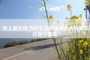 地上湖北佬(为什么总觉得湖北人特别喜欢耍小聪明)