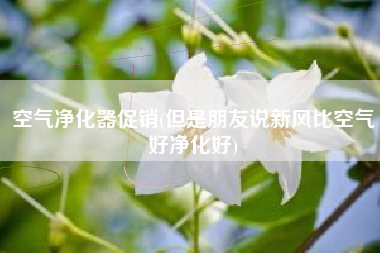空气净化器促销(但是朋友说新风比空气好净化好)