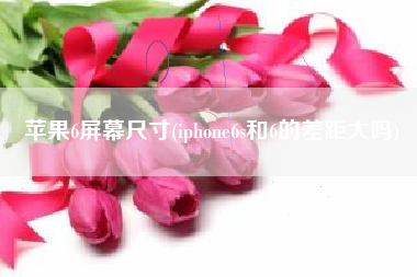 苹果6屏幕尺寸(iphone6s和6的差距大吗)