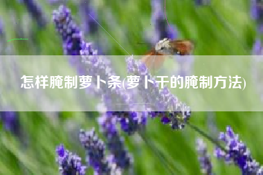 怎样腌制萝卜条(萝卜干的腌制方法)