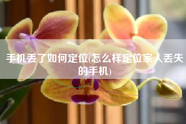 手机丢了如何定位(怎么样定位家人丢失的手机)