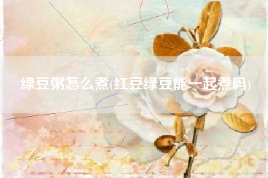 绿豆粥怎么煮(红豆绿豆能一起煮吗)