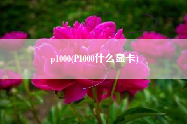 详细阅读:p1000(P1000什么显卡) p1000(P1000什么显卡)