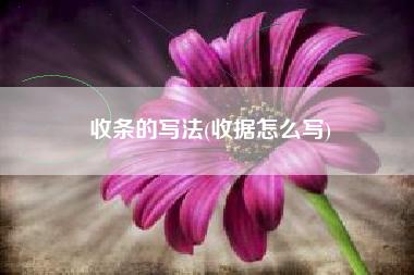 收条的写法(收据怎么写)