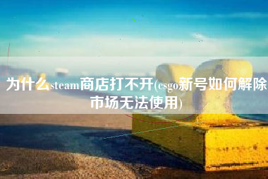 为什么steam商店打不开(csgo新号如何解除市场无法使用)