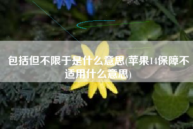 包括但不限于是什么意思(苹果14保障不适用什么意思)