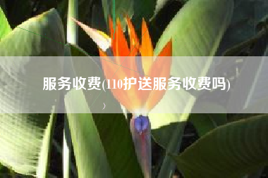 服务收费(110护送服务收费吗)