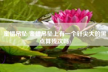 蜜蜡吊坠(蜜蜡吊坠上有一个针尖大的黑点算残次吗)