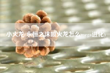 小火龙(永恒之沫喷火龙怎么mega进化)