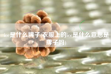 ice是什么牌子(衣服上的ice是什么意思是牌子吗)