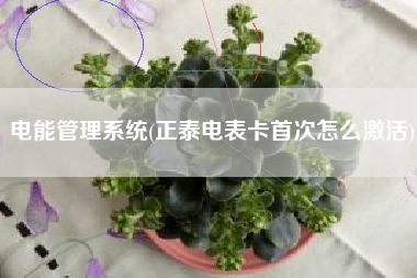 电能管理系统(正泰电表卡首次怎么激活)