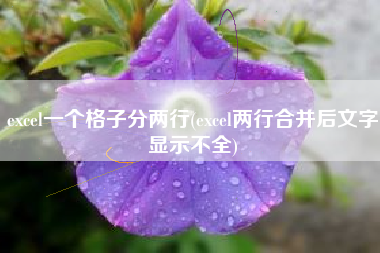 excel一个格子分两行(excel两行合并后文字显示不全)