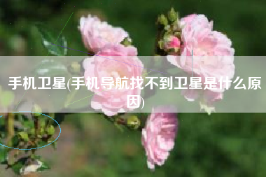 手机卫星(手机导航找不到卫星是什么原因)