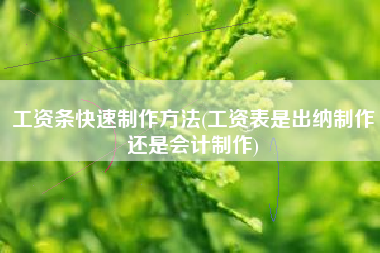 工资条快速制作方法(工资表是出纳制作还是会计制作)