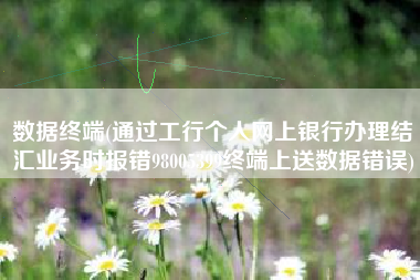 数据终端(通过工行个人网上银行办理结汇业务时报错98005399终端上送数据错误)