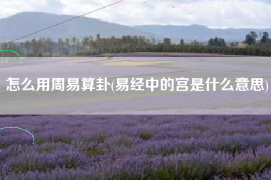 怎么用周易算卦(易经中的宫是什么意思)