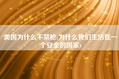 美国为什么不禁枪(为什么我们生活在一个安全的国家)