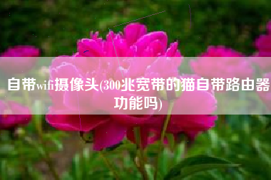自带wifi摄像头(300兆宽带的猫自带路由器功能吗)