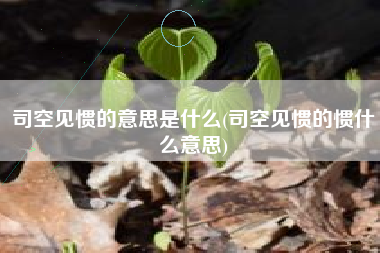 司空见惯的意思是什么(司空见惯的惯什么意思)