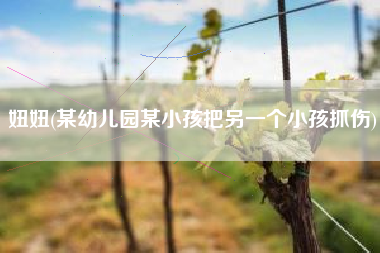 妞妞(某幼儿园某小孩把另一个小孩抓伤)