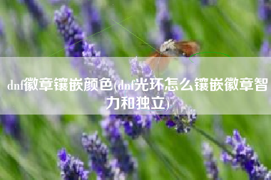 dnf徽章镶嵌颜色(dnf光环怎么镶嵌徽章智力和独立)