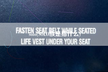 solo(SOLO族是指什么)
