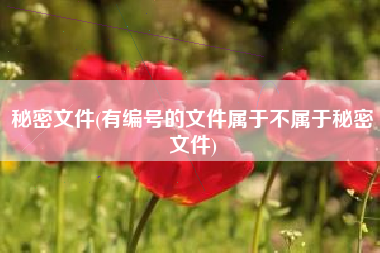 秘密文件(有编号的文件属于不属于秘密文件)