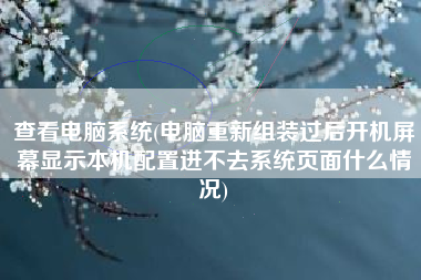 查看电脑系统(电脑重新组装过后开机屏幕显示本机配置进不去系统页面什么情况)
