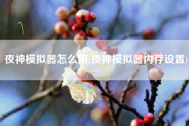 夜神模拟器怎么用(夜神模拟器内存设置)